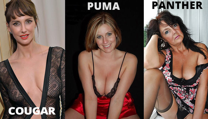 cougar vs milf vs femme mature